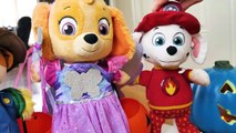 Paw Patro Baby Pup Halloween Toy Learning Video for Kids