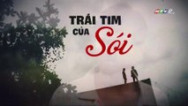 Trái Tim Của Sói Tập 30 - Phim Việt Nam