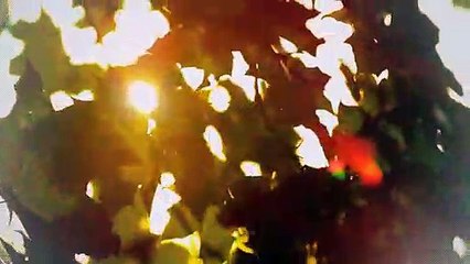 A vendre - Appartement - Veysonnaz (1993) - 3.5 pièces - 64m²