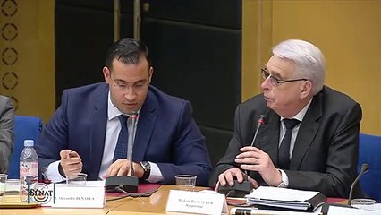 "Je ne peux pas répondre" : quand Alexandre Benalla esquive les questions des sénateurs sur ses passeports
