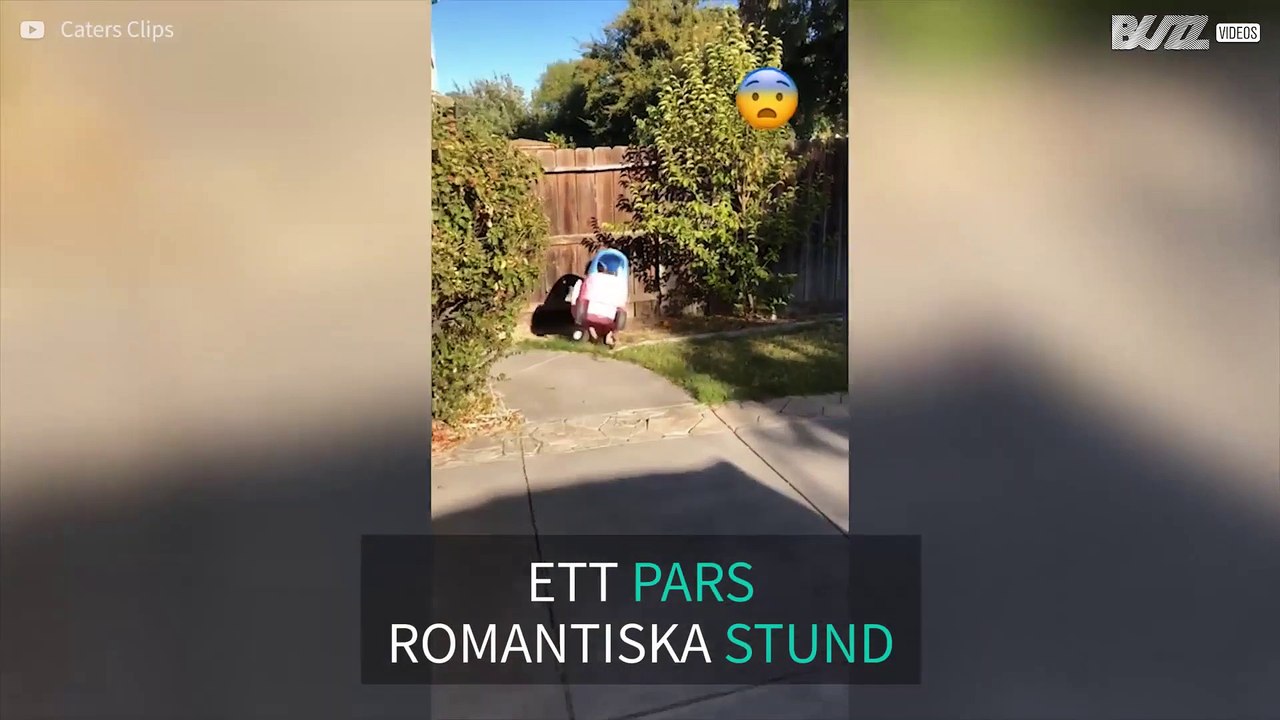 Se parets magiska undervattensfilm