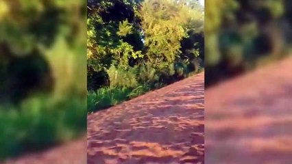 Em vídeo, internauta cobra atenção do prefeito quanto a situação de estrada rural