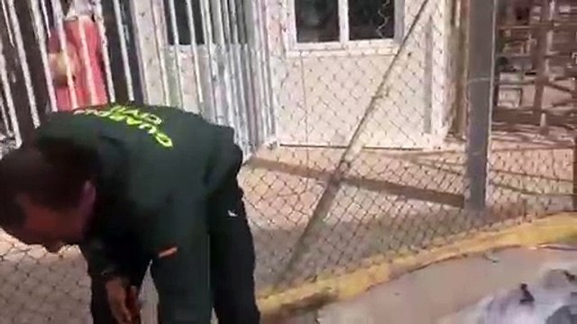 Des migrants voyagent cachés dans des matelas sur le toit d'une voiture