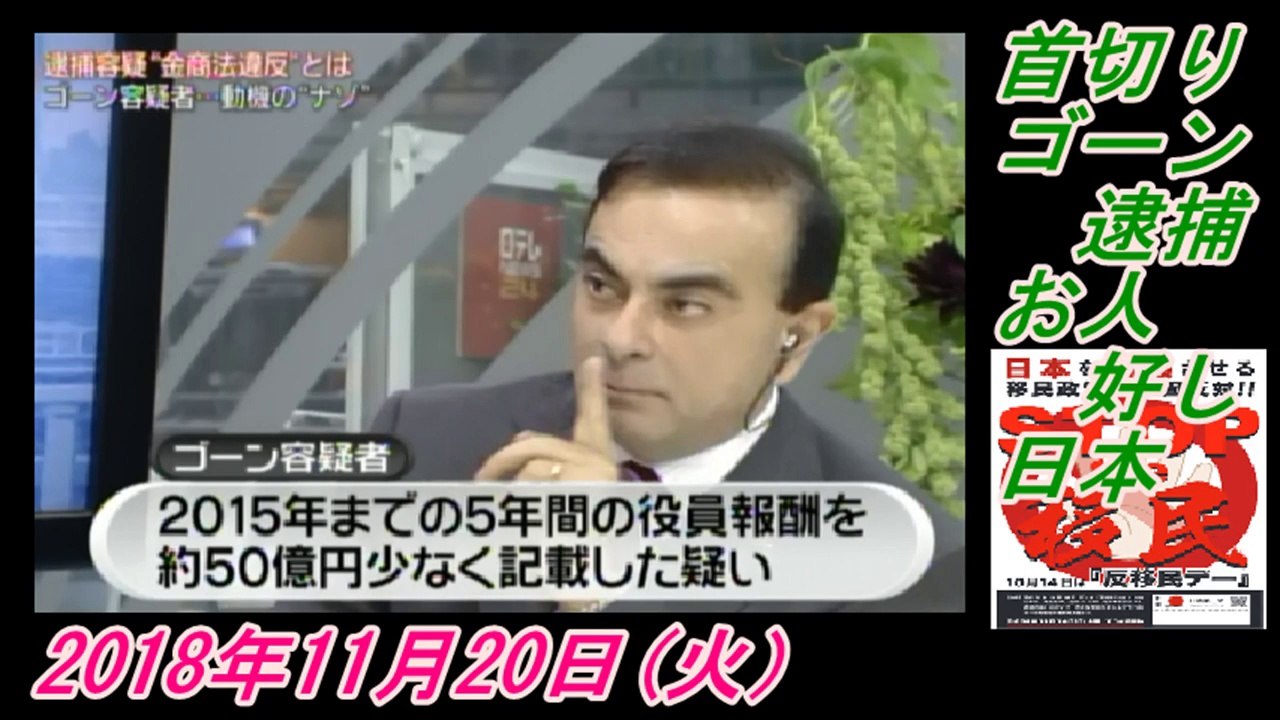 15-2野村明大、首切りゴーン逮捕、お人好し日本。菜々子の独り言　2018年11月20日(火）