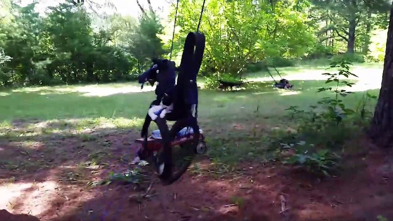 Cats Don't Care Cute Animal Compilation   Funny Pets Clips