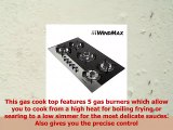 US Sellership from CAUS  Windmax EuroStyle 355 in Coated Glass 5 Burners BuiltIn