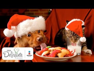 ¡Cuidado! Eso que compartes con tu mascota lo podría enfermar | Cocina Delirante