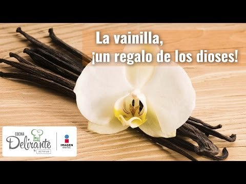 Propiedades y beneficios de la Vainilla | Cocina Delirante
