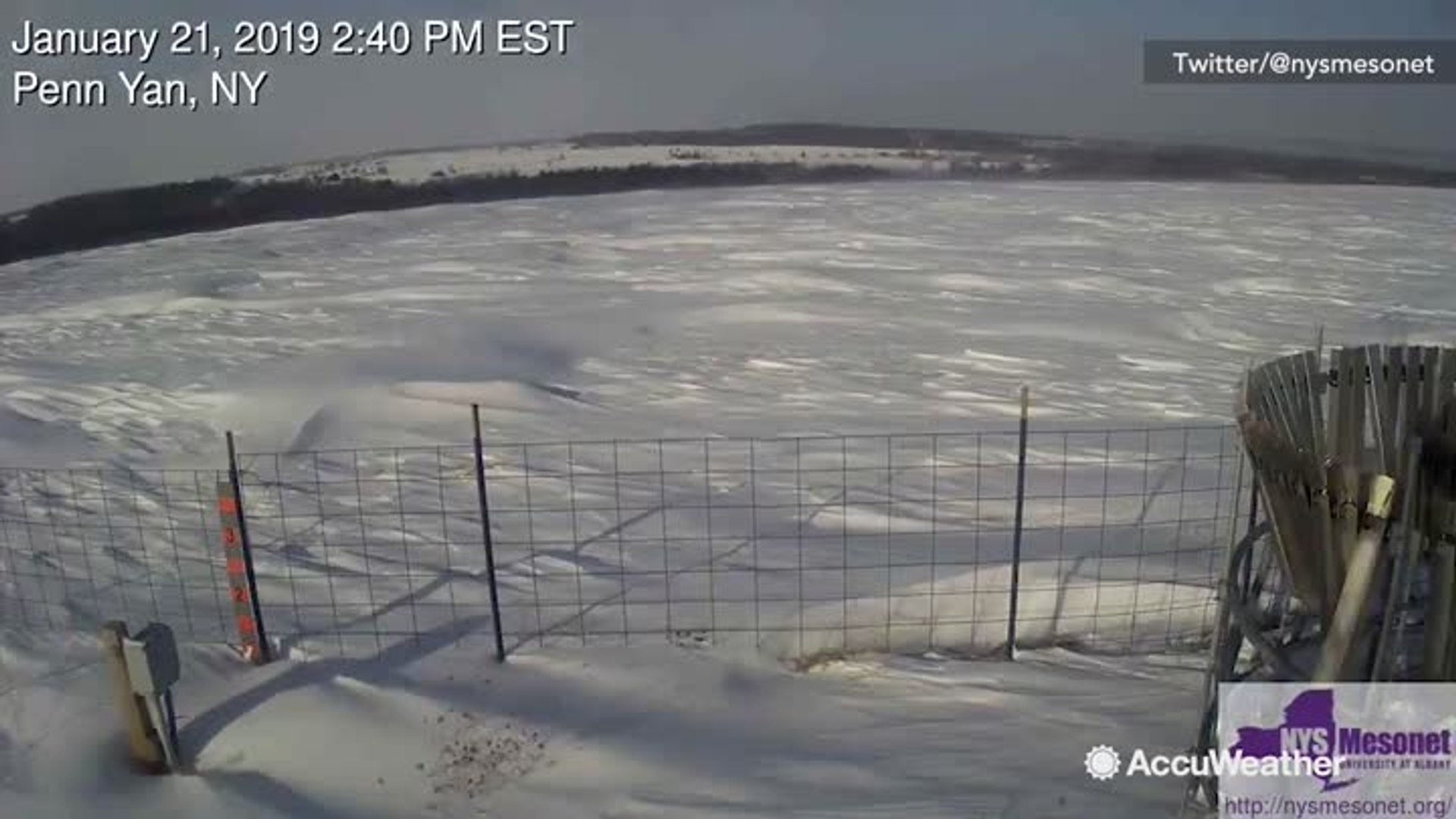 ⁣Heavy wind sends waves of snow rolling across field