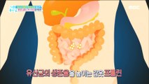 [HEALTHY] Lactobacillus, eat like this!,기분 좋은 날20190122