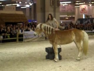 Pauline et Naïade Salon du Cheval 2007