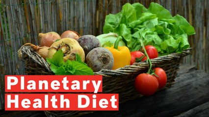Scientists Reveal 'Ideal Diet' To Save People And The Planet