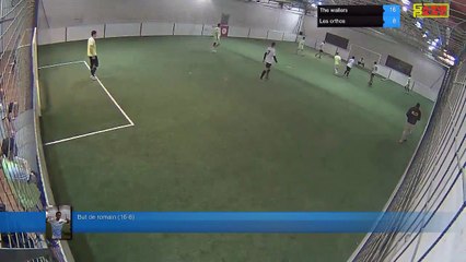 But de romain (16-8) - The wailers  Vs Les orthos - 21/01/19 20:00 - Ligue A - Poitiers Game Parc