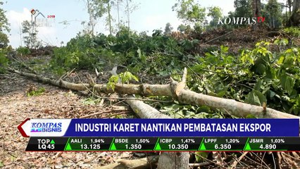 Industri Karet Nantikan Pembatasan Ekspor