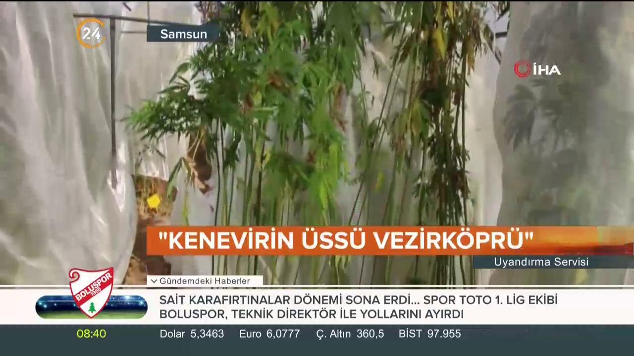 Kenevir Türkiye'de üretilecek