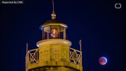 Super Blood Wolf Moon Delights