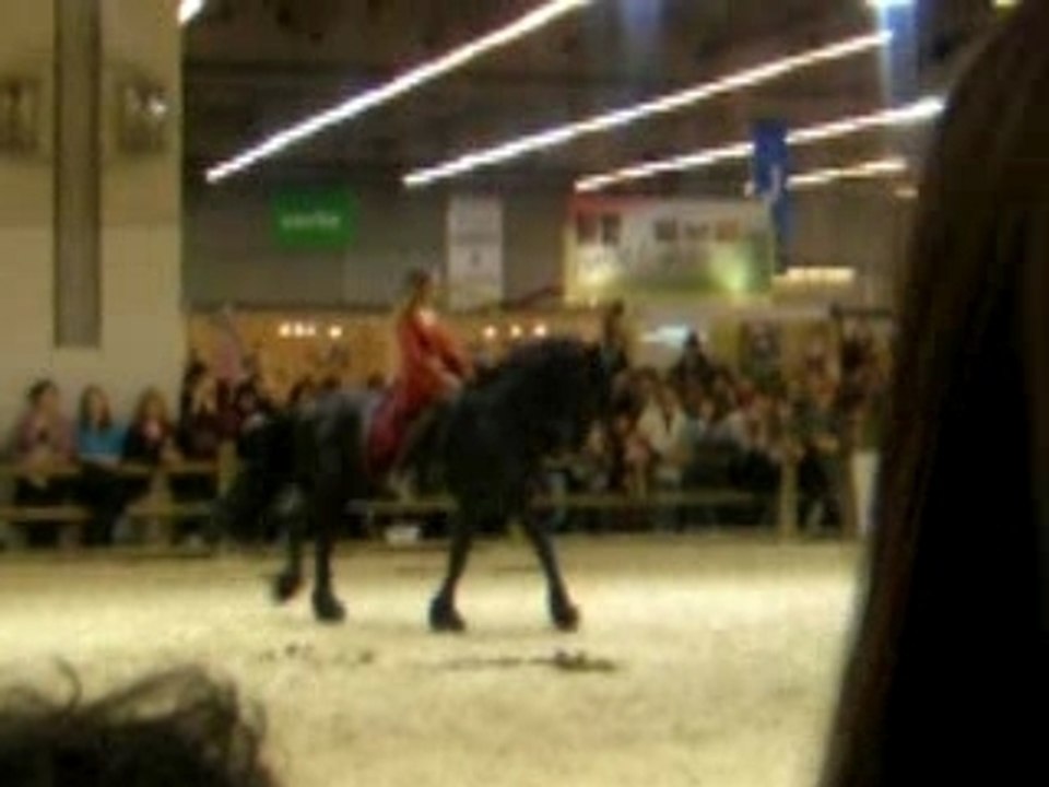 Salon du Cheval Paris 2007