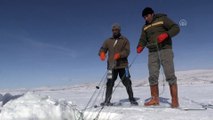 Eskimo usulü balık avlıyorlar - KARS