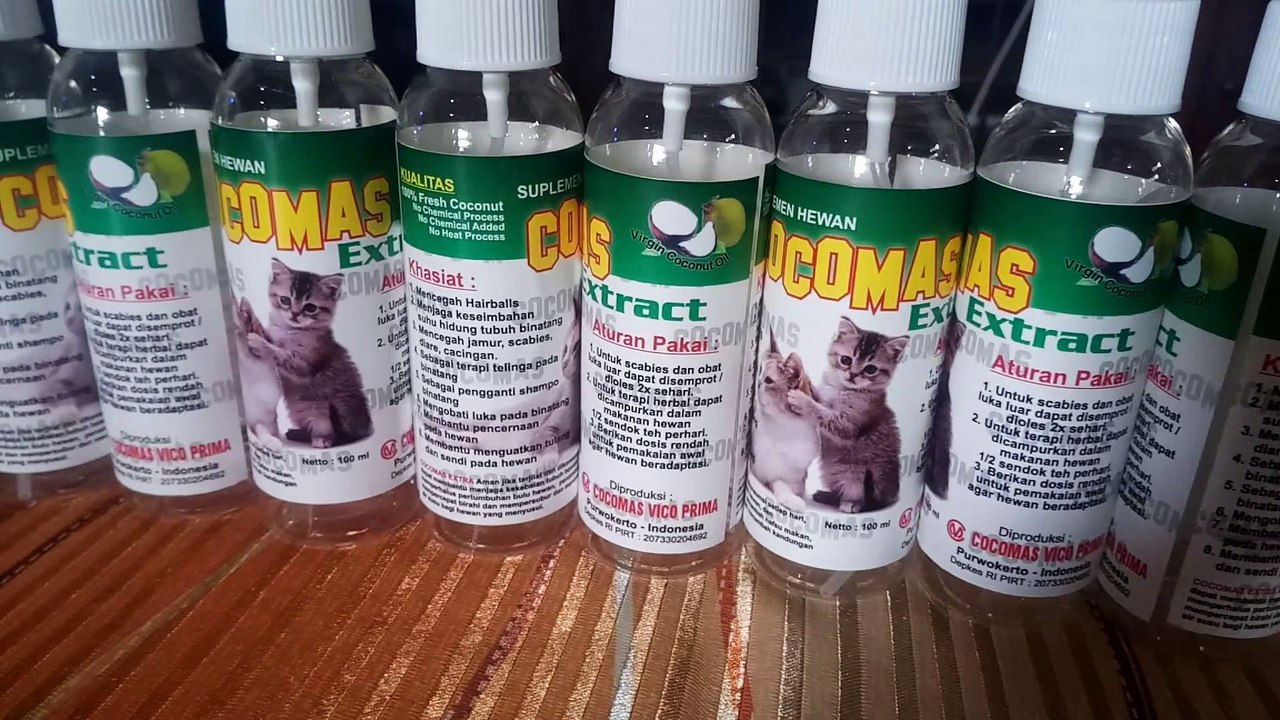 [AGEN] Obat Jamur Kucing, 0821 3543 9895
