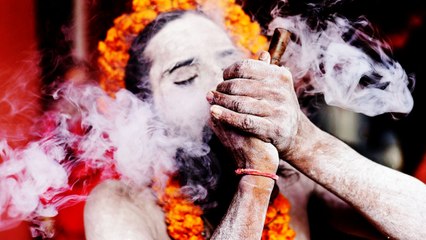 Kumbh Mela 2019: अर्ध कुंभ 2019 में नहीं है भांग पर रोक, जानें क्या है बड़ी वज़ह? | Boldsky
