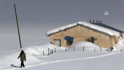 Kar Yüksekova'ya hem çile hem güzellik getirdi - HAKKARİ