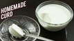 Homemade Curd Recipe - Tips & Tricks To Make Curd At Home - Basic Cooking - Ruchi