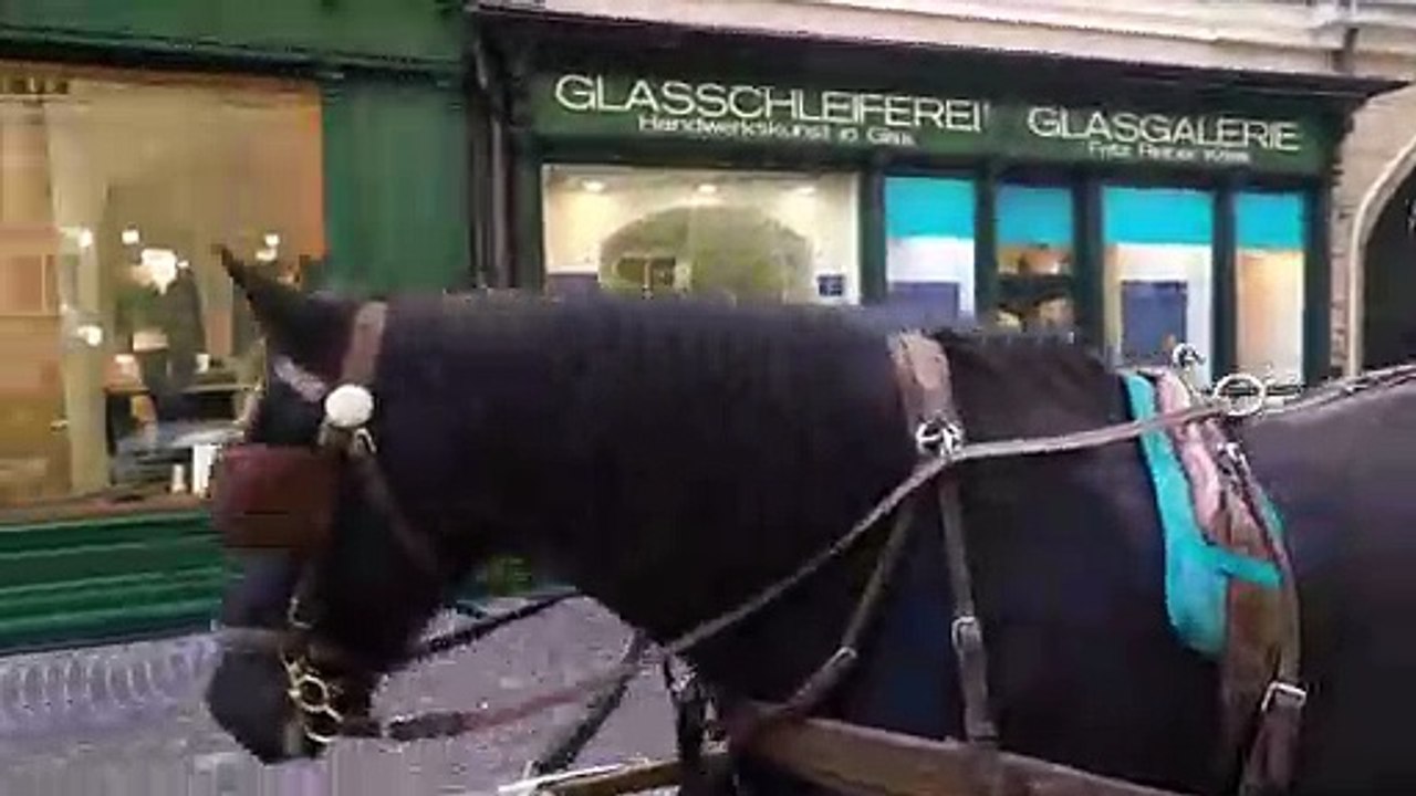 Autriche : VIDEO Salzbourg