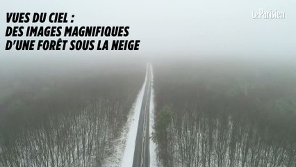 La forêt de Rambouillet sous la neige, filmée depuis un drone