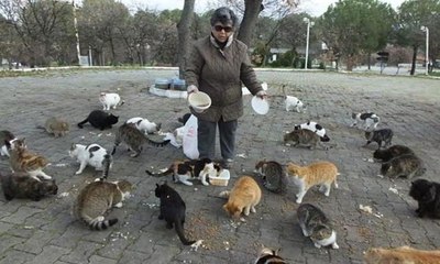 14 yıldır sokak kedilerini besliyor