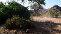 Afrique : VIDEO Namibie (éléphants)