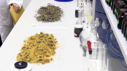 'Türkiye tüm dünyanın ihtiyacına cevap verebilir' (2) - MUĞLA