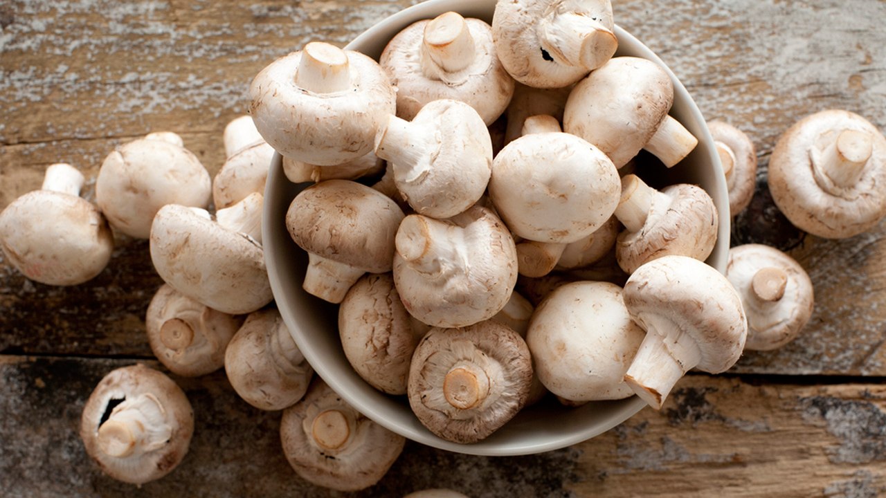 Gegen Depressionen: Champignons mit extra viel Vitamin D