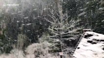'Fairytale' scene as beautiful clip shows heavy snowfall in Caucasus mountains