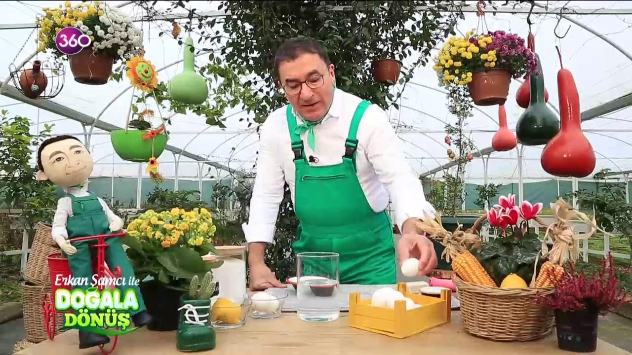 Doğala Dönüş