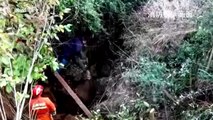 Firefighters rescue 450kg buffalo trapped in deep hole