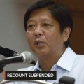 Supreme Court suspends ballot recount in VP protest