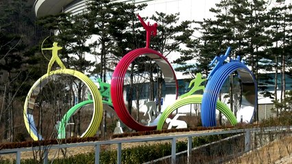 '스포츠 인권 조사단' 신설...최대규모 조사 방침 / YTN