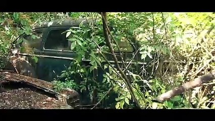 Bất ngờ tìm thấy hơn 80 chiếc xe cổ huyền thoại trong một nông trại