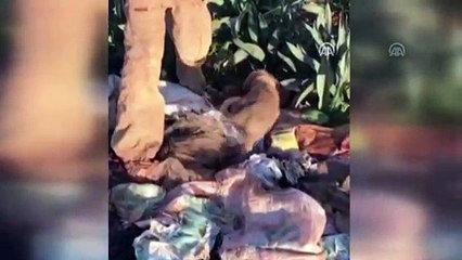 Köpek yavrularına işkence iddiası - ADANA