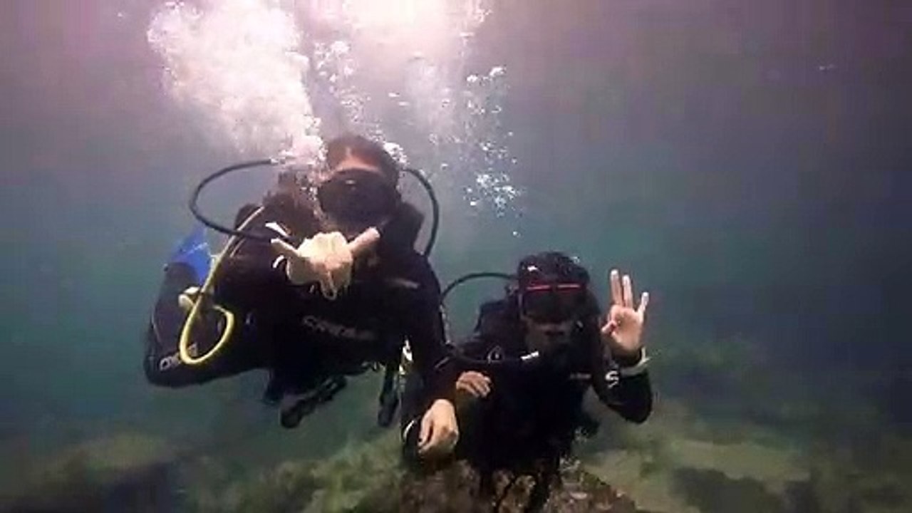 Galapagos diving