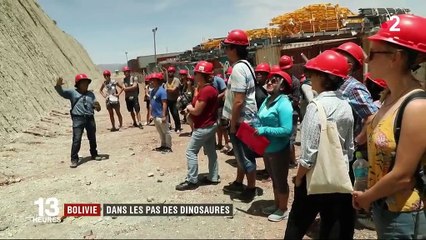 Bolivie : des traces exceptionnelles de dinosaures émerveillent les touristes