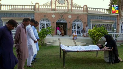 Bisaat e Dil Episode #26 HUM TV Drama 22 January 2019
