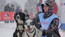 رقابت‌ سورتمه‌ سواری با سگ در کوه‌های آلپ فرانسه