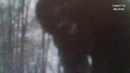 Bigfoot moved into the camera hunter