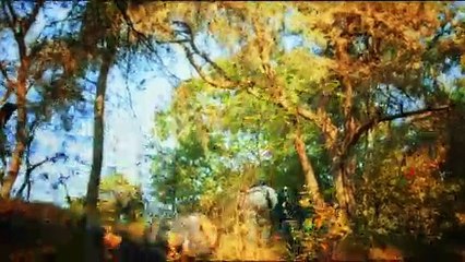 Molly | Official Trailer | Artsploitation Films