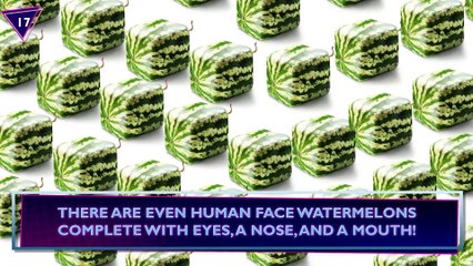 20 Things Proving That Japan Lives In 3018