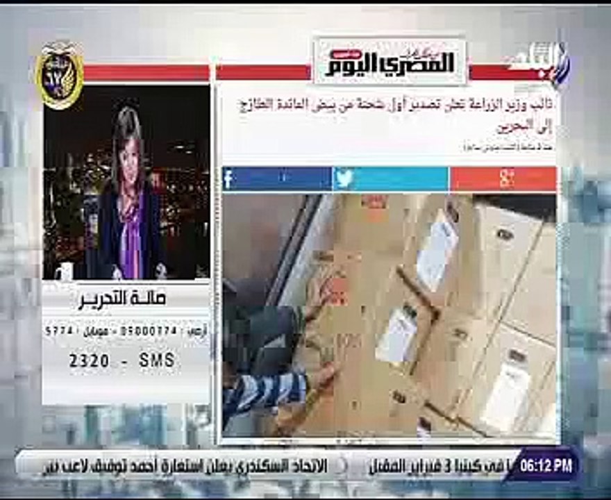 الزراعة: ننتج 12 مليار بيضة سنوياً والتصدير يشت...