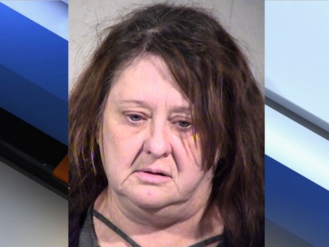 PD: Six dead dogs found in Mesa home - ABC15 Crime