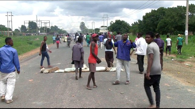 Zimbabwe protests: 'Systematic torture of protesters'