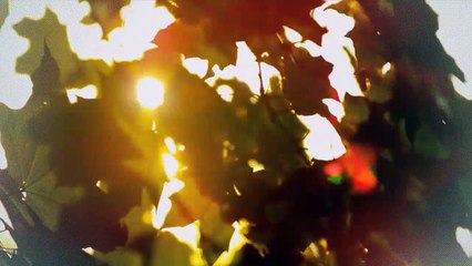 A vendre - Appartement - Porrentruy (2900) - 4.5 pièces - 135m²